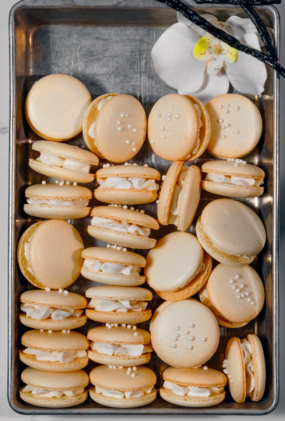 Vanilla Macarons